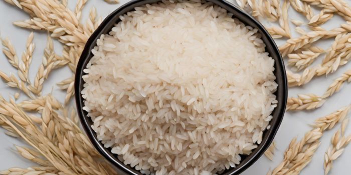 Rice Method for Weight Loss: Does It Really Work?