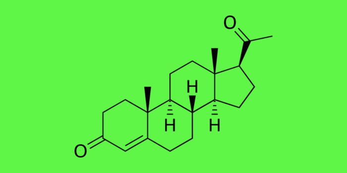 Progesterone Weight Loss Success Stories