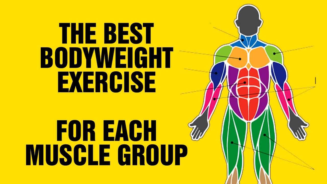 Exercises For Each Muscle Group No Equipment: Ultimate Guide