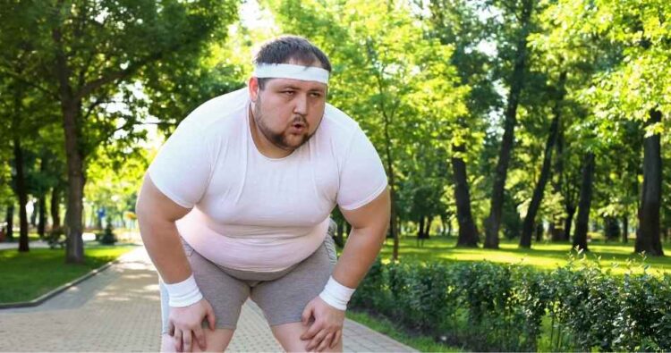 Fat Burning Exercises