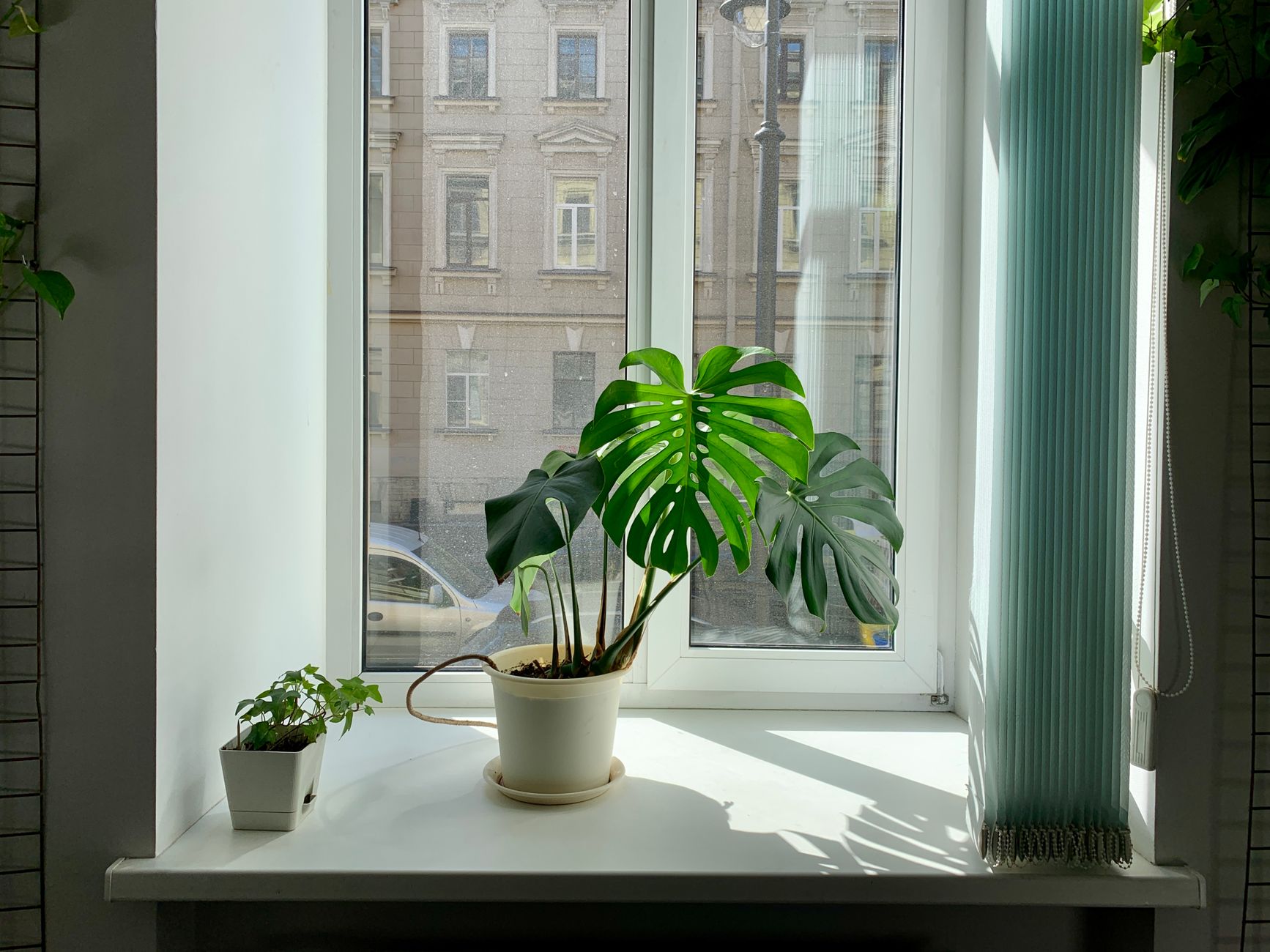 Are Air Purifiers Worth It?