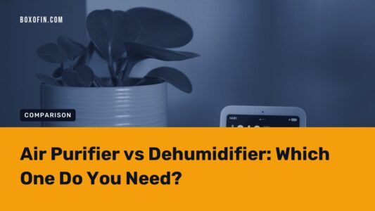 Air Purifier vs Dehumidifier: Which One Do You Need?
