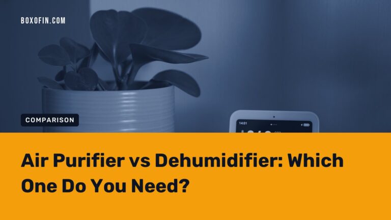 Air Purifier vs Dehumidifier: Which One Do You Need?