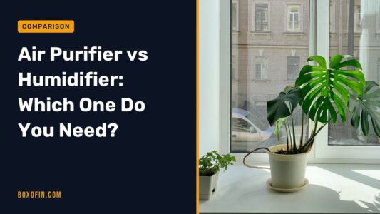 Air Purifier vs Humidifier: Which One Do You Need?
