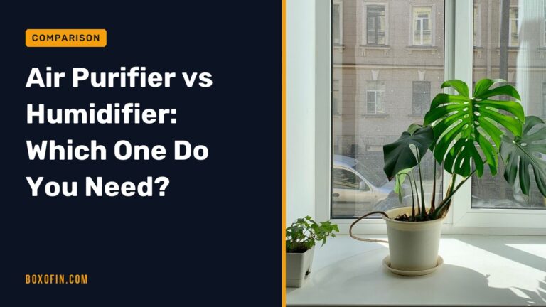 Air Purifier vs Humidifier: Which One Do You Need?