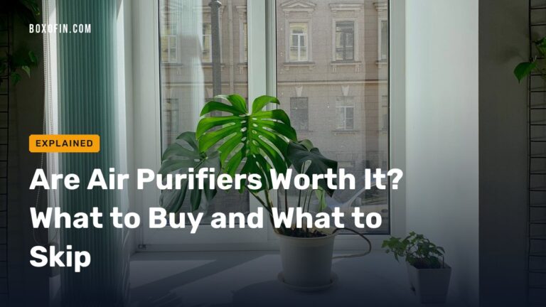 Are Air Purifiers Worth It? What to Buy and What to Skip
