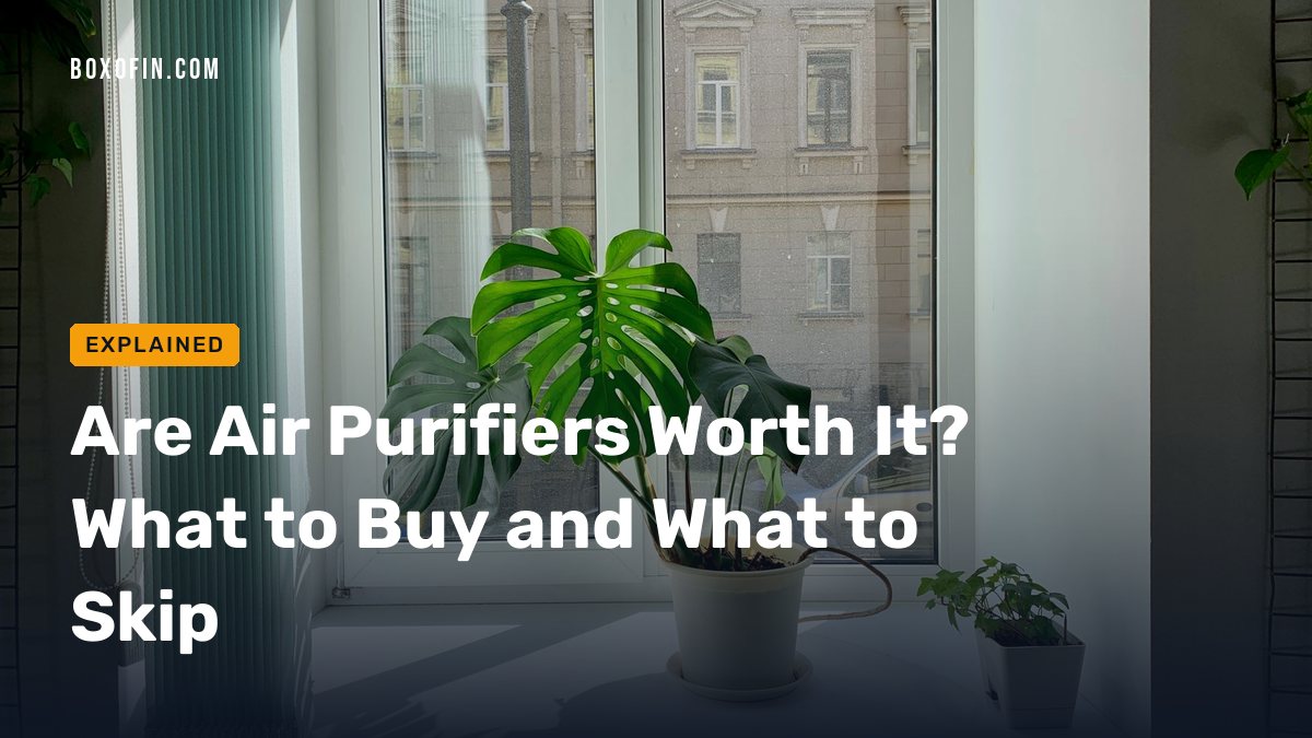Are Air Purifiers Worth It? What to Buy and What to Skip