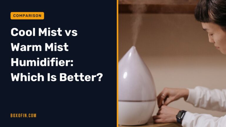 Cool Mist vs Warm Mist Humidifier: Which Is Better?