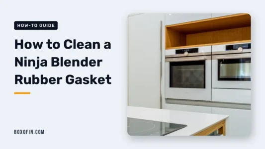 How to Clean a Ninja Blender Rubber Gasket
