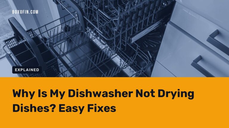 Why Is My Dishwasher Not Drying Dishes? Easy Fixes